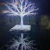 tiabellaisadora Altpins Profile Picture