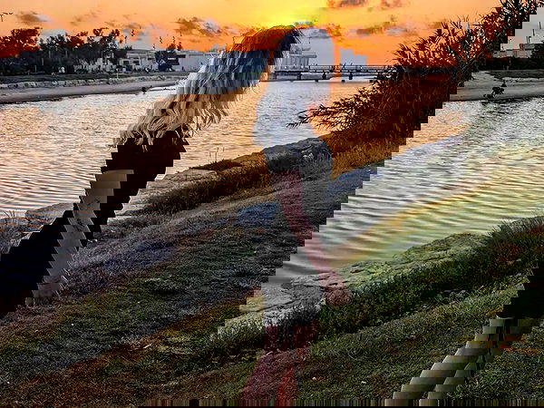 tinapavlov.sky tinapavlov.sky archive image