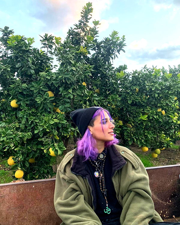 toharsandrusi instagram image archive image