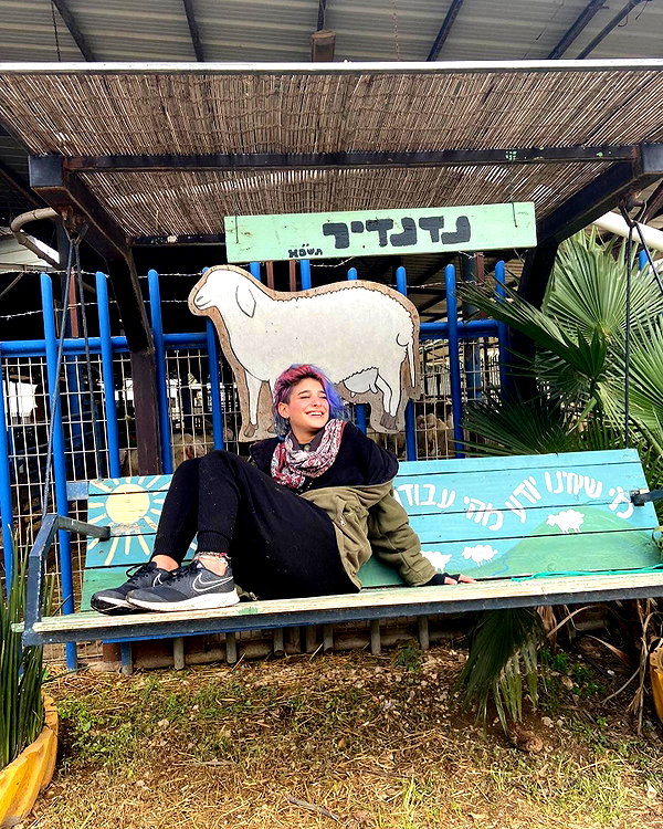 toharsandrusi instagram image archive image