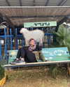toharsandrusi Altpins Profile Picture