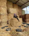 toharsandrusi Altpins Profile Picture