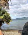 toharsandrusi Altpins Profile Picture