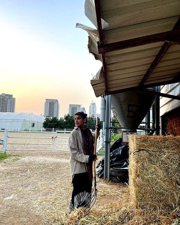 toharsandrusi instagram image archive image