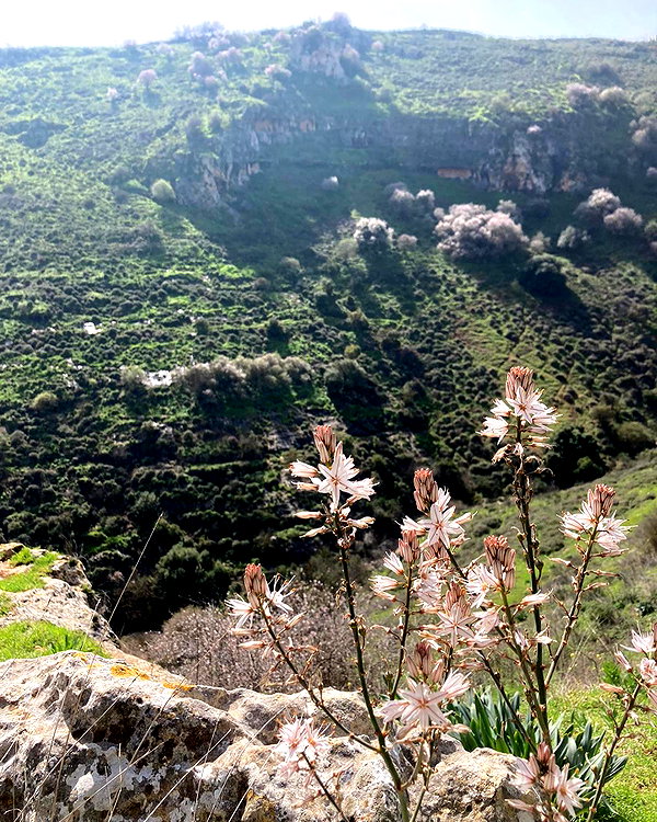 toharsandrusi instagram image archive image