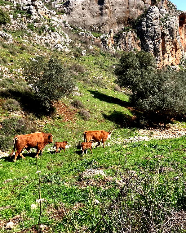 toharsandrusi instagram image archive image