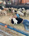 toharsandrusi Altpins Profile Picture
