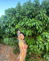 toharsandrusi Altpins Profile Picture