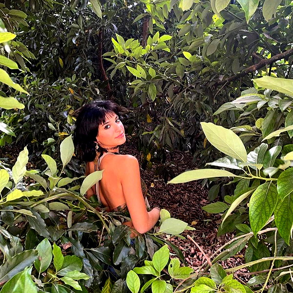 toharsandrusi instagram image archive image