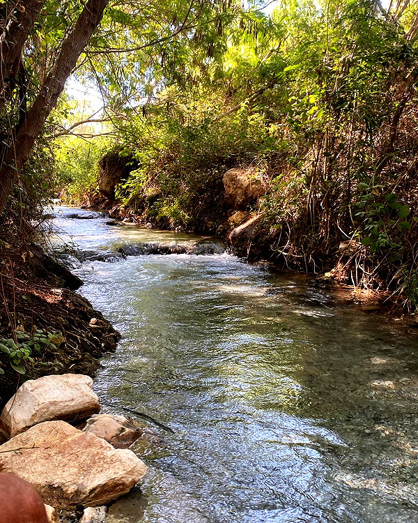 toharsandrusi instagram image archive image