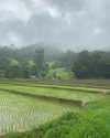 toharsandrusi Altpins Profile Picture