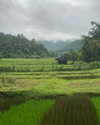toharsandrusi Altpins Profile Picture