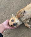 tooonytoony Altpins Profile Picture