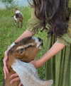 tooonytoony Altpins Profile Picture