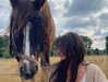 tooonytoony Altpins Profile Picture