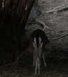 tooonytoony Altpins Profile Picture