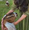 tooonytoony Altpins Profile Picture