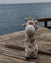 tooonytoony Altpins Profile Picture