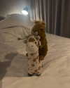 tooonytoony Altpins Profile Picture