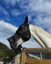 tooonytoony Altpins Profile Picture
