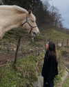 tooonytoony Altpins Profile Picture