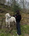 tooonytoony Altpins Profile Picture