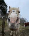 tooonytoony Altpins Profile Picture