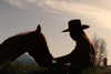 tooonytoony Altpins Profile Picture