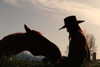 tooonytoony Altpins Profile Picture