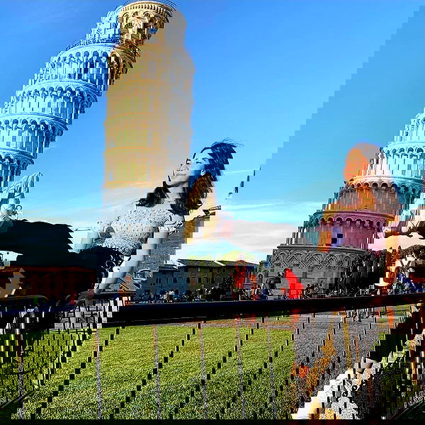 tuliish_ image ~ Altpins