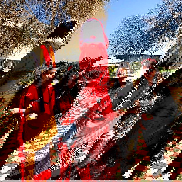 tuliish_ image ~ Altpins