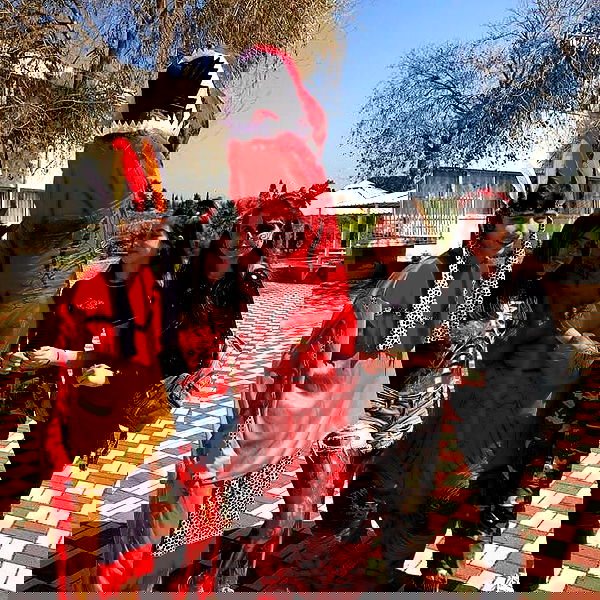 tuliish_ image ~ Altpins