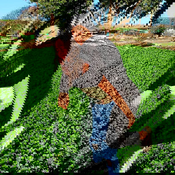 tuliish_ image ~ Altpins