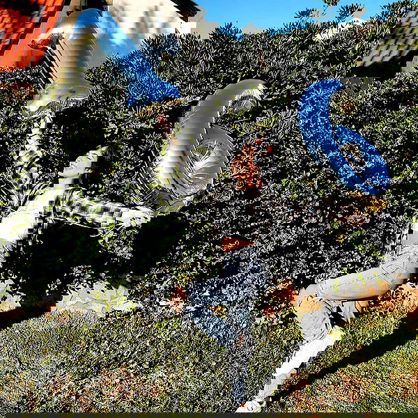 tuliish_ image ~ Altpins