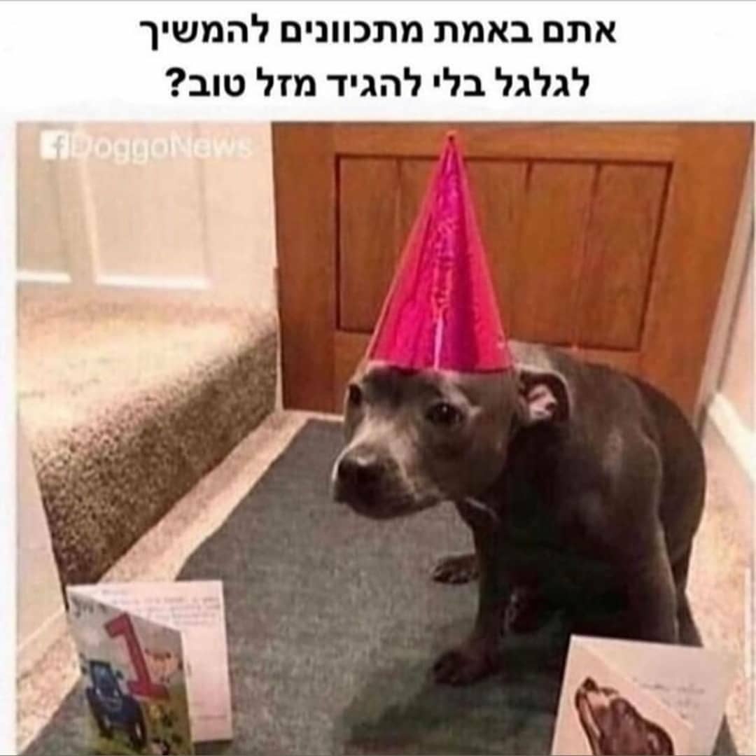 tuliish_ instagram image archive image