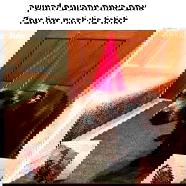 tuliish_ image ~ Altpins