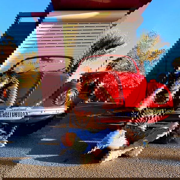 tuliish_ image ~ Altpins