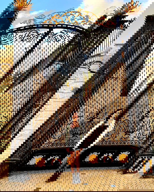 tuliish_ image ~ Altpins