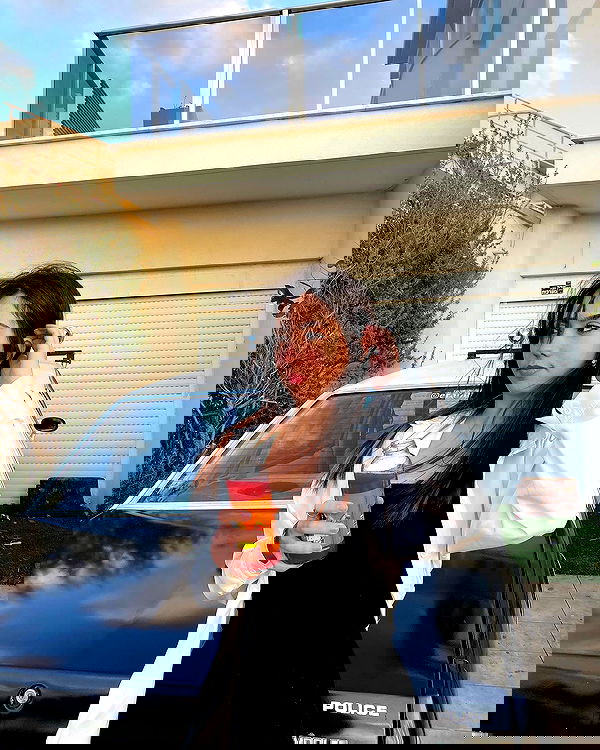 tuliish_ image ~ Altpins