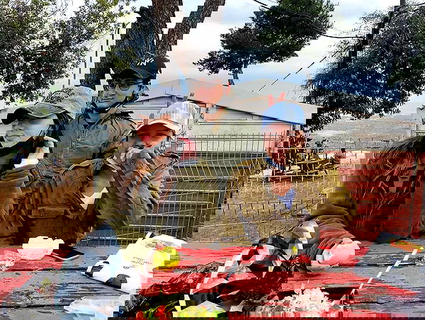 tuliish_ image ~ Altpins