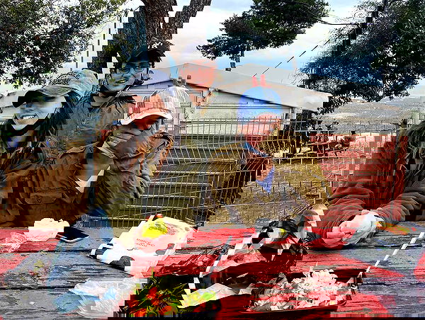 tuliish_ image ~ Altpins