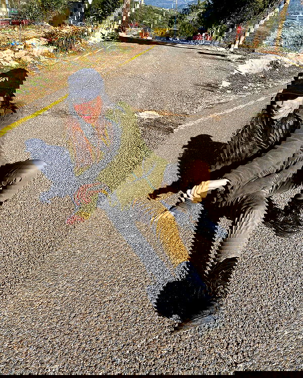 tuliish_ image ~ Altpins