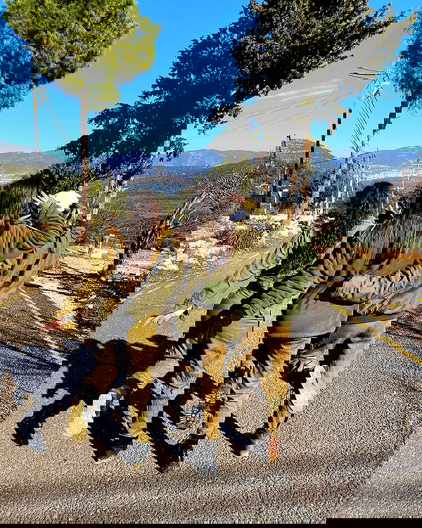 tuliish_ image ~ Altpins