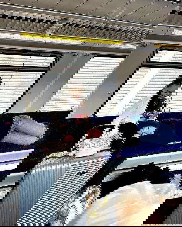 tuliish_ image ~ Altpins