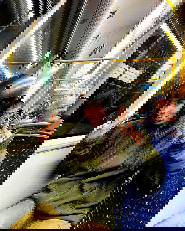 tuliprivet tuliprivet archive image