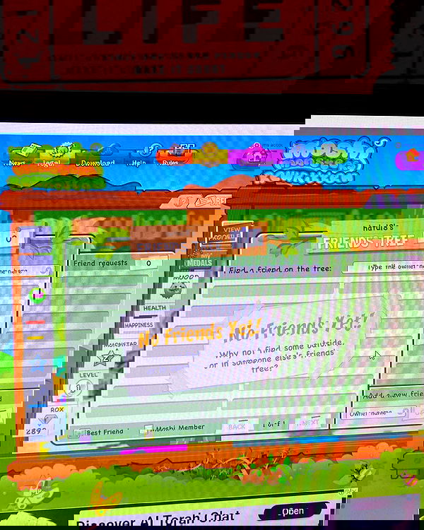 tuliprivet tuliprivet archive image