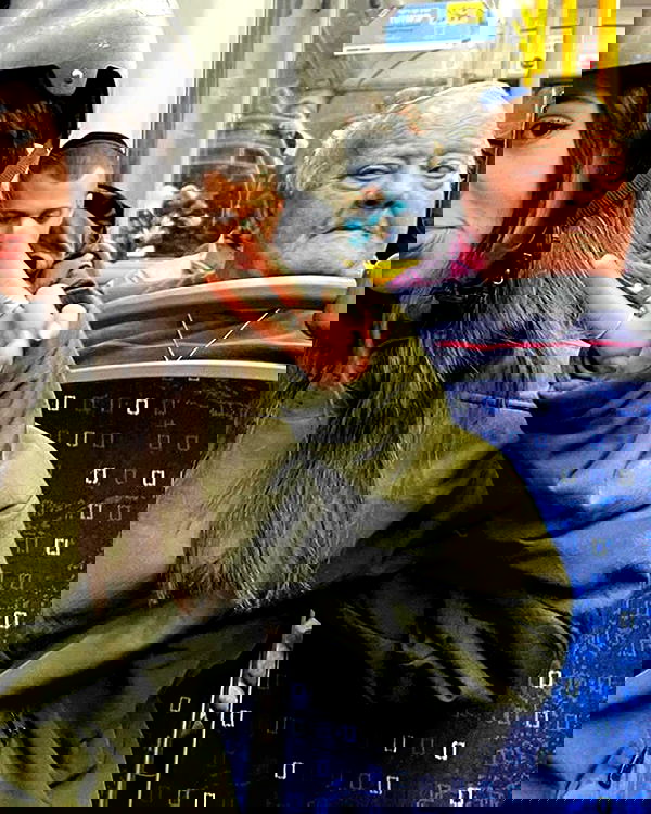 tuliprivet tuliprivet archive image