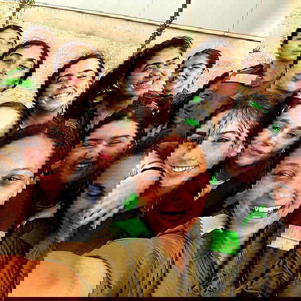 tuliprivet tuliprivet archive image