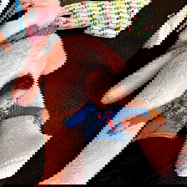 tuliprivet tuliprivet archive image