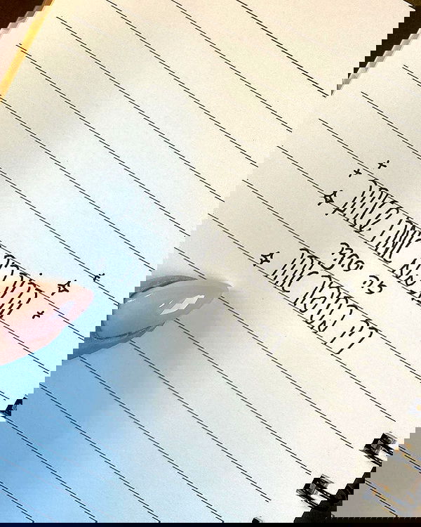 tuliprivet tuliprivet archive image